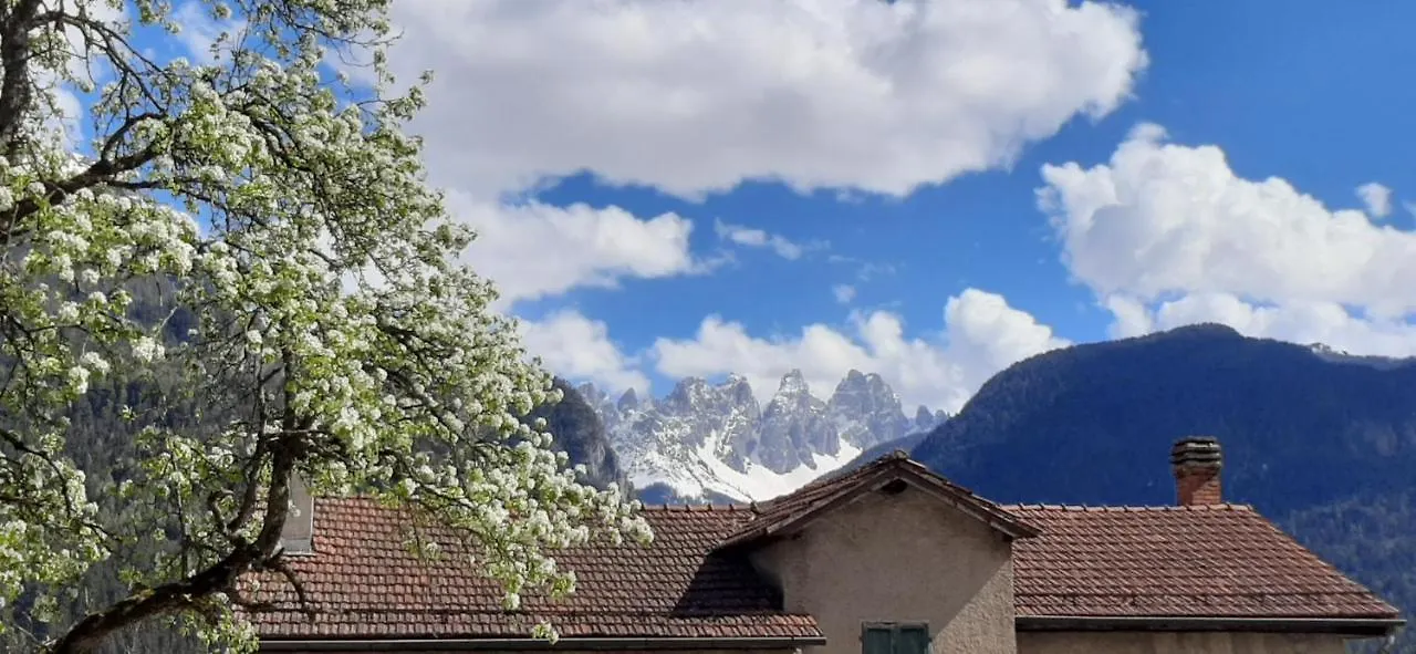 Bed & Breakfast B&B Sognoincadore Domegge di Cadore Italië