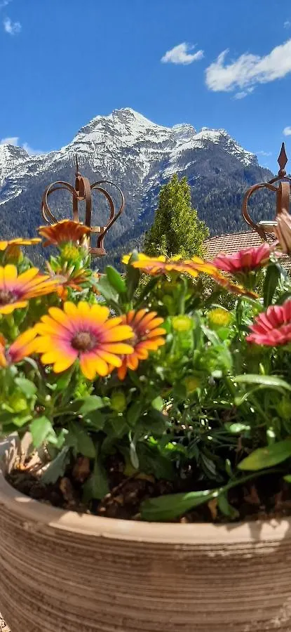 B&B Sognoincadore Domegge di Cadore 0*,
