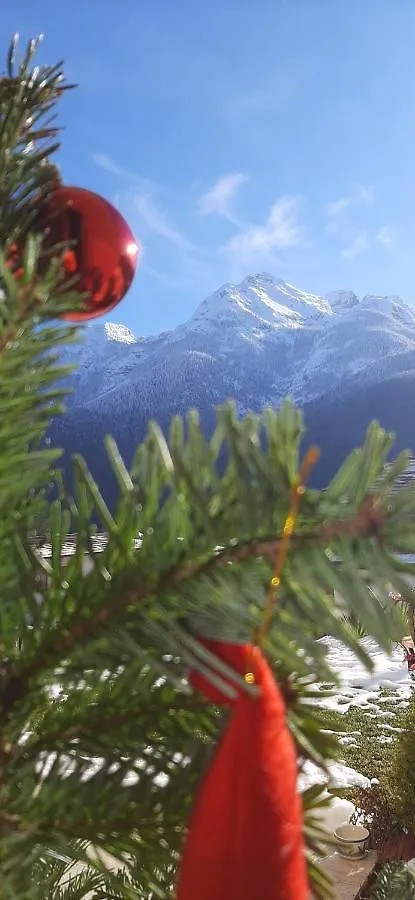B&B Sognoincadore Domegge di Cadore 0*,
